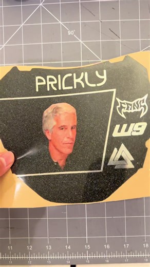 Do you see your order?😏 Shop customdecalhouse.com to get the best quality decals and with the fastest shipping times! #customdecalhouse #fyp #viral #fastshipping #highquality