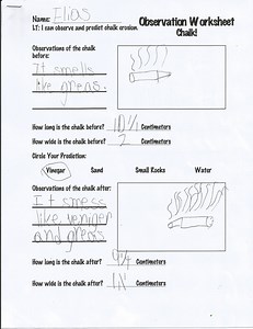 Analysis & Reflection