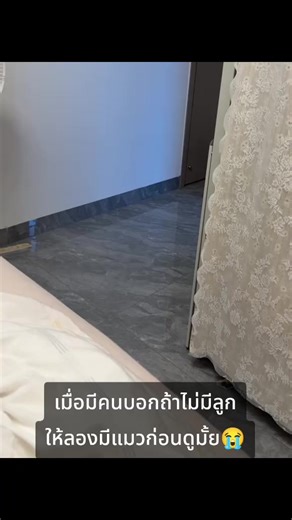 เสียงแมวและเด็กในชีวิตประจำวัน