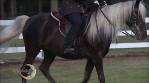 14K views · 883 reactions | Can your horse back into a pivot? There...