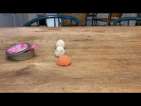 Squishies Meet a Slime Monster from Outer Space! 👽💚 Stop Motion Fun