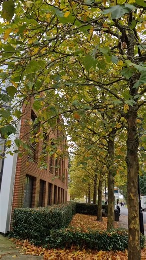 And with that, the 2025 season at UoS comes to an end… From becoming the first UK university to open a campus in Delhi, to welcoming His Royal Highness The Duke of Edinburgh to celebrate innovation and future skills with our students and researchers. We welcomed students, family and friends during open days, shared unforgettable moments across campus, and cheered on the Class of 2025 as they stepped across the stage 💙 What a great year it’s been! | University of Southampton