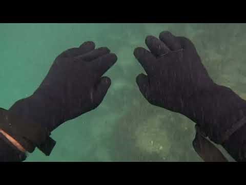 🤿 Diving Nambucca Heads | Stingrays, Guitar Fish & Hidden Treasure! | Nambucca Life