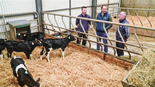 Watch: How a Kilkenny farmer guarantees success