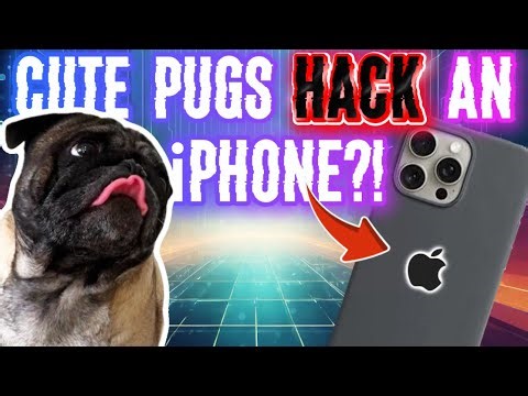 Can I Use a Pug’s Face to Unlock an iPhone?!