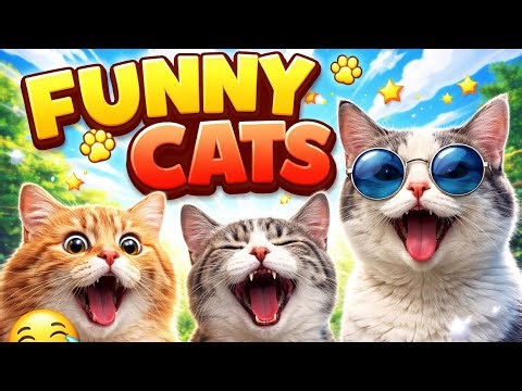 Funny cats soooo creazy cars acting weird 😂#cat 