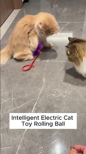 Watch Your Cat Play for Hours with This Automatic Electric Toy!