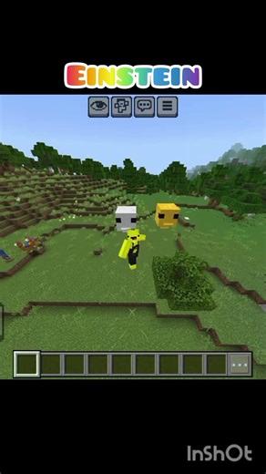 Einstein logic fail #minecraft