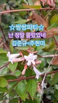 #쌍쌍파티 #김준규주현미 #난정말몰랐었네 #607080 #힐링 #추억의가요 #꽃