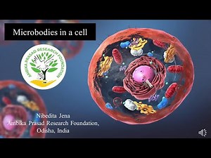 Microbodies in a cell. #cell #microbodies