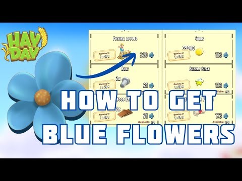 Hay Day - 4 Ways to get BLUE FLOWERS and HOW TO spend them wisely? 🪻