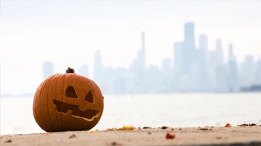 Things to do in Chicago for fall 2025: Pumpkin patches, haunted trails, spooky rides | See list