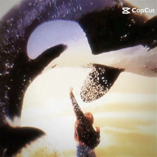 free willy edit credits:Michael Jackson