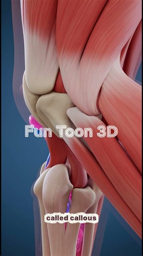 How Bones Heal – Amazing 3D Animation of Fracture Recovery!