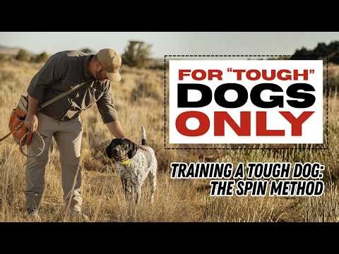 Jared Moss | Training a Tough Dog: The Spin Method