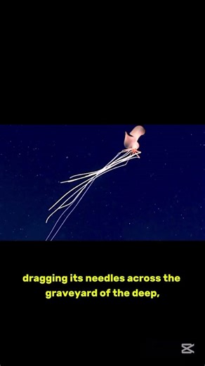 They Found a Monster at 8,000 Feet...#shorts #mystery #ocean