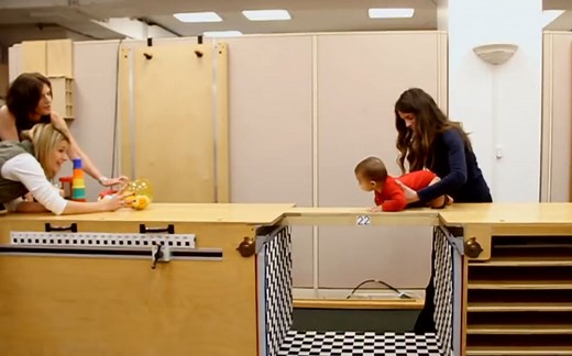 发展心理学：婴儿深度知觉和视崖实验