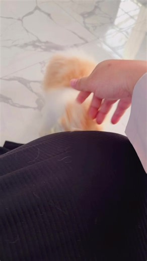 Anae_ahot (@anae_ahot)’s videos with suara asli - Anae_ahot