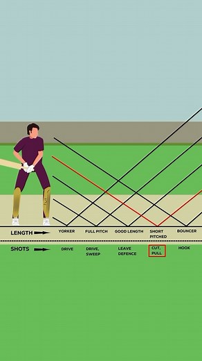 Indore Cricket Club (ICC)™️ on Instagram: "Master the square cut like a pro! Here’s your step-by-step guide to perfecting this classic cricket shot and sending the ball racing to the boundary. #spektacom #batting #squarecut #cricketlovr #crickettips #cricket #deepakpalathlete #indorecricket #indorecricketclub #indorecricketacademy #bestcricketacademy"