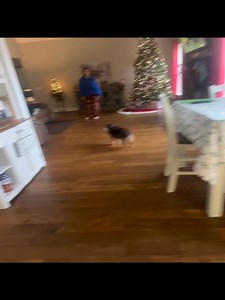 Allison Springer on Reels