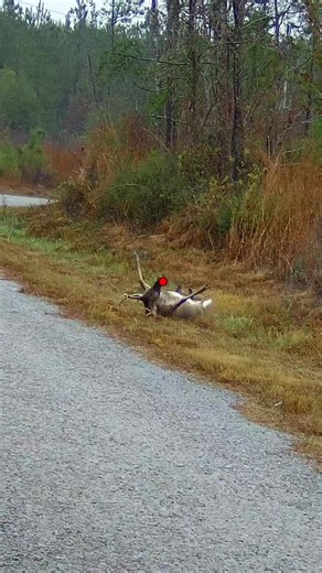 Exploring a Private Club for Deer Hunting