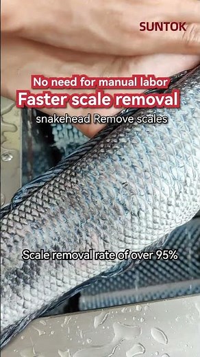 Commercial use fish scale remover machine for snakehead