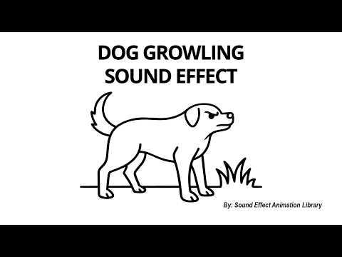 Dog Growling Sound Effect - GRR! | With Definition