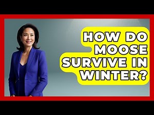 How Do Moose Survive In Winter? - The Wild Life Explorer
