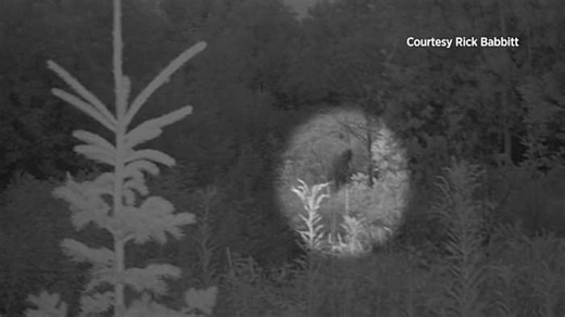 Michigan man claims he was attacked by a Bigfoot