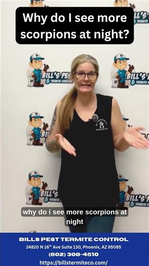 Why Do Scorpions Come Out at Night? | Arizona Pest Control Expert Explains