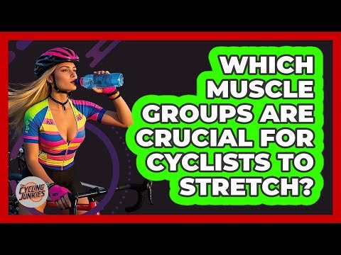 Which Muscle Groups Are Crucial For Cyclists To Stretch? - The Cycling Junkies