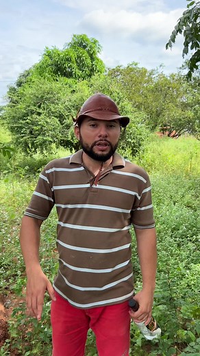 #nordeste #tiktok #comedia