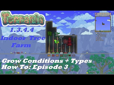Terraria 1.3.4.4 HOW TO | Build an Indoor Tree Farm + Growing Conditions + Types | Episode 3
