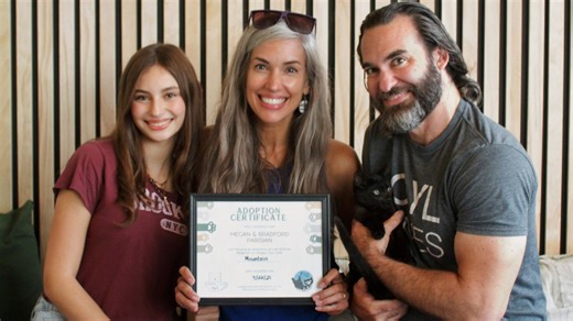 ‘Grateful’: Happy Cat Cafe celebrates 1,000th adoption
