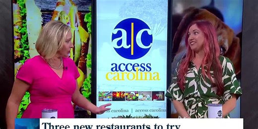 New restaurants in Greenville bringing great dining experiences