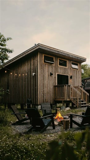 🔴 LIVE | Cozy Cabin & Campfire Ambience 🔥 Relaxing Nature Sounds 24/7