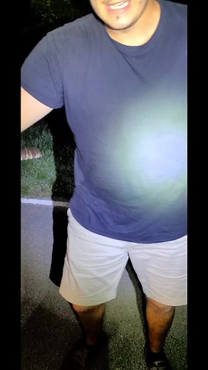 Attempting to Get Bit by a Banded Water Snake