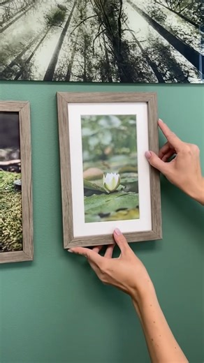 Bring the vibrancy of spring indoors! Refresh your decor with a stunning canvas that captures the essence of the season. Whether it’s a tranquil forest scene or vibrant foliage, a green-themed canvas is the perfect way to make your home feel fresh and lively! 🌿💚 #springdecor #canvas #personalizedcanvas #wallart #walldecor | Bestcanvas