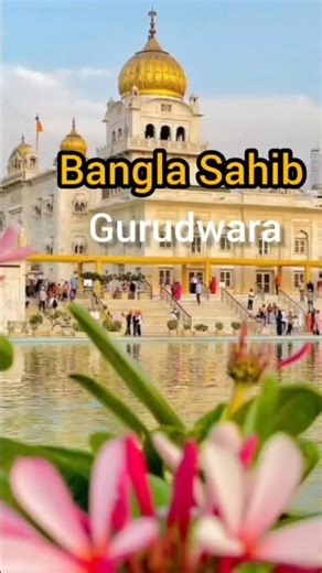 Sabar & Shukar 💛 #shorts #shortsfeed #reels #youtubeshorts #waheguru