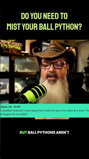 How much humidity does a ball python need? #greenroompythonslivestream