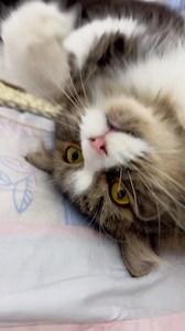 13K views · 1.8K reactions | Stop filming me | Mrdiedie | Facebook