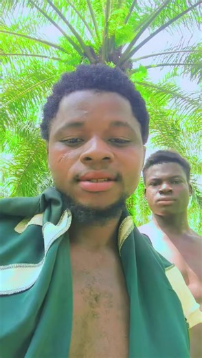 Essential Advice for Brifor Musicians