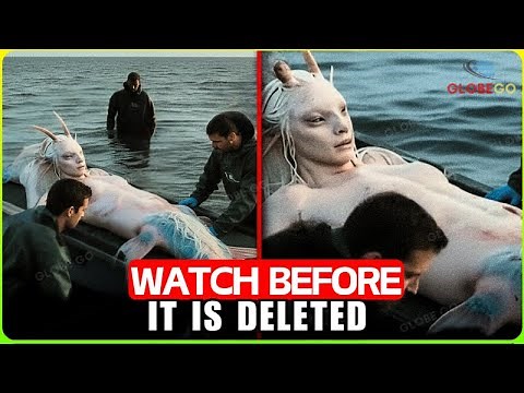 Scientists Stunned When MYTHICAL RIVER CREATURES Caught on Camera Reveal Shocking Secret Documentary