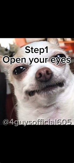 How to blink tutorial