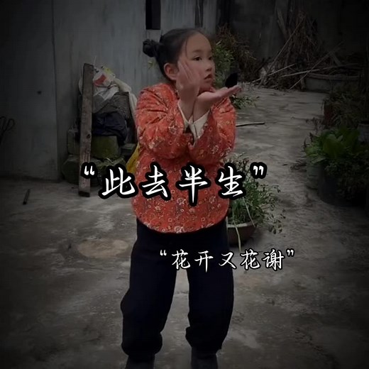“花开又花谢花满天”