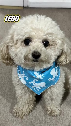 Coco Lego - Amazing Lego Builds and More