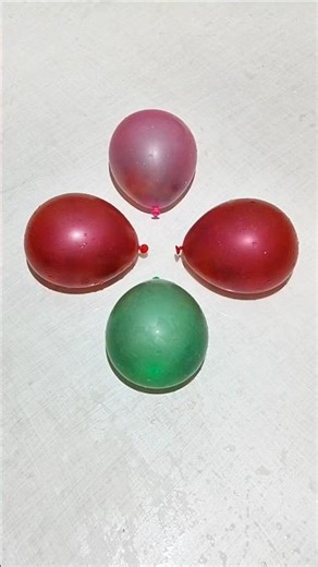 🦊🦝Popping Balloons Filled with Orbeez #orbeez #balloonpopping #waterballoon