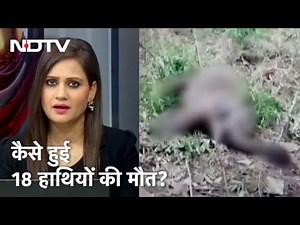 Assam के Naugaon में मिले 18 हाथियों के शव