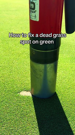 One of my favorite repairs from this season #repair #golfcourse #satisfying #beforeandafter #learnontiktok