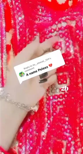 Funny Compilation of Hilarious Moments